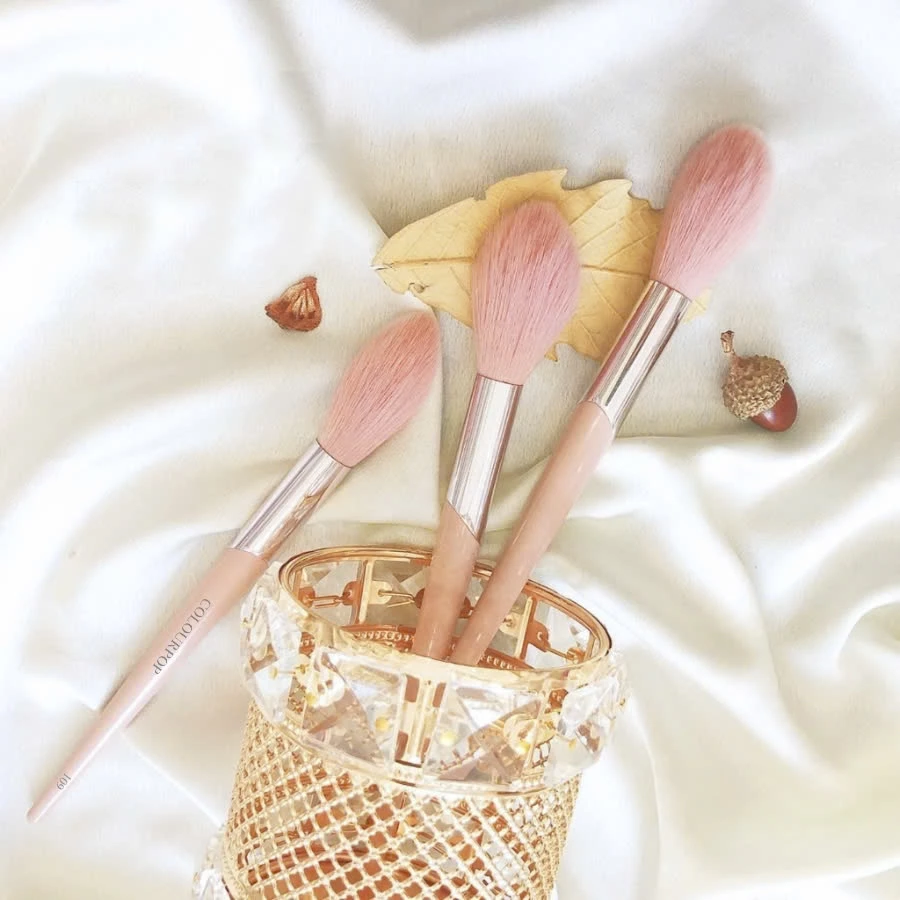  Cọ Tạo Highlight COLOURPOP Highlighter Brush C109