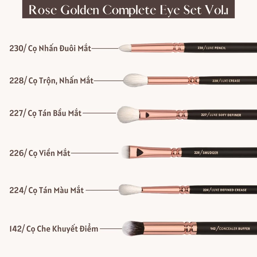 Bộ Cọ Mắt Chuyên Nghiệp 12 Cây Zoeva Rose Golden Complete Eye 12 Vol.1 Brush Set 0195